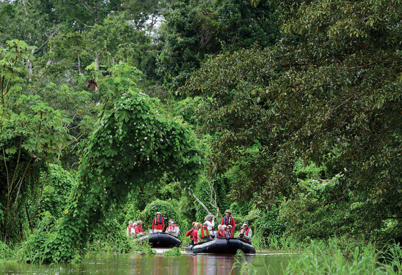 Amazonas Luxus Kreuzfahrten