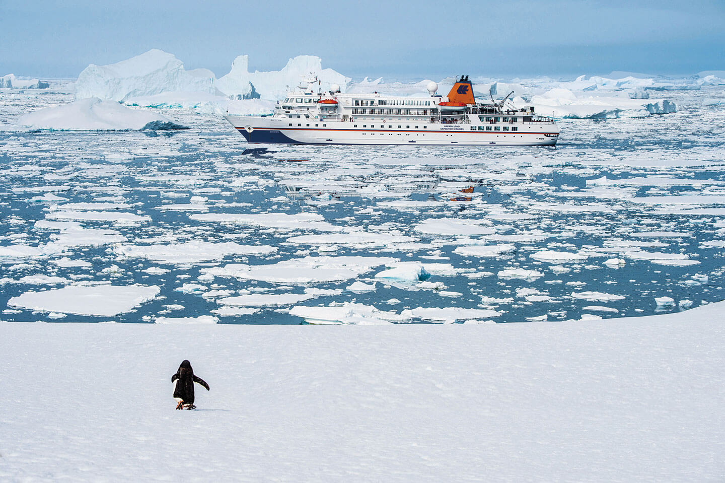 Arktis Grönland Luxus Kreuzfahrt